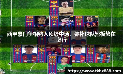 BB贝博艾弗森体育