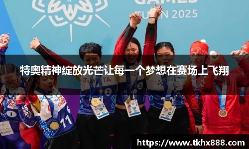 BB贝博艾弗森体育